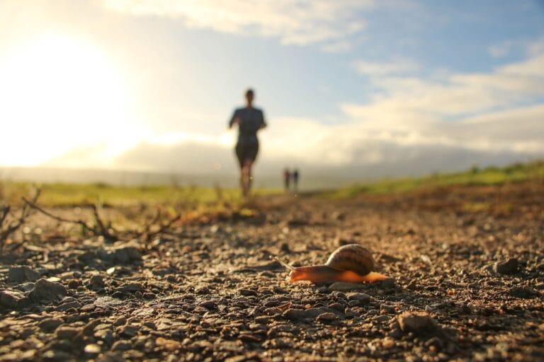 Fit Life: Siłownia w Pajęcznie – Idealne Miejsce na Trening!