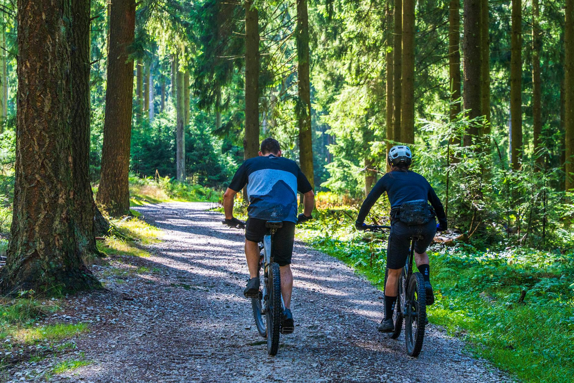 Dwójka rowerzystów na górskich rowerach jedzie leśną ścieżką w słońcu
