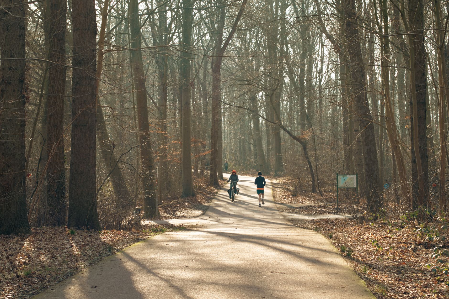 Biegacz i rowerzysta na leśnej ścieżce o świcie