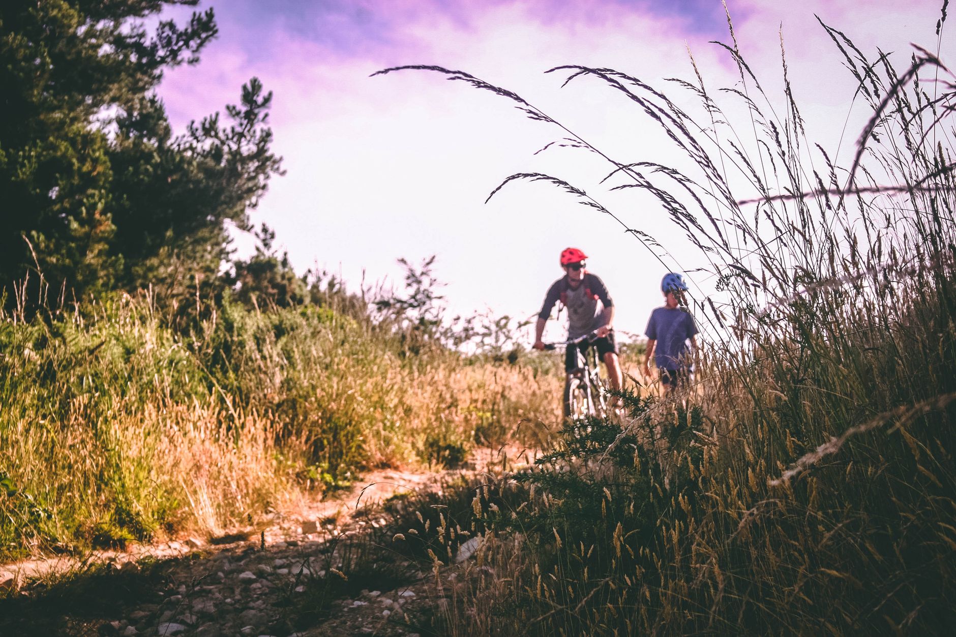 Ojciec i dziecko na rowerach górskich jadą polną ścieżką wśród traw