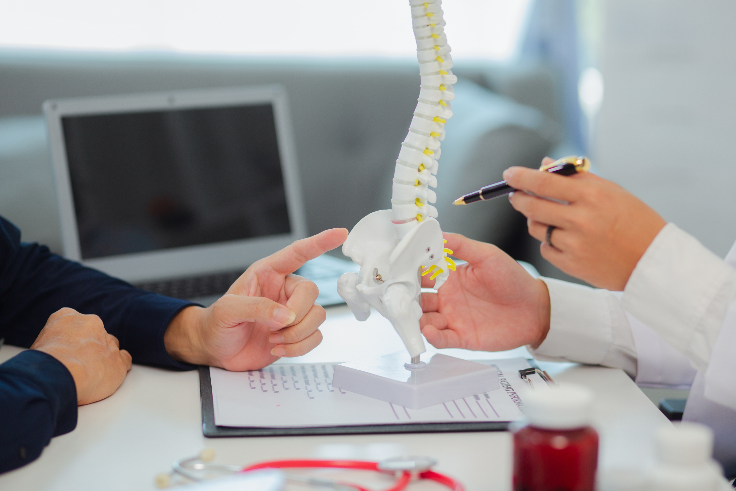 Model anatomiczny kręgosłupa lędźwiowego z krążkiem międzykręgowym na poziomie L5-S1
